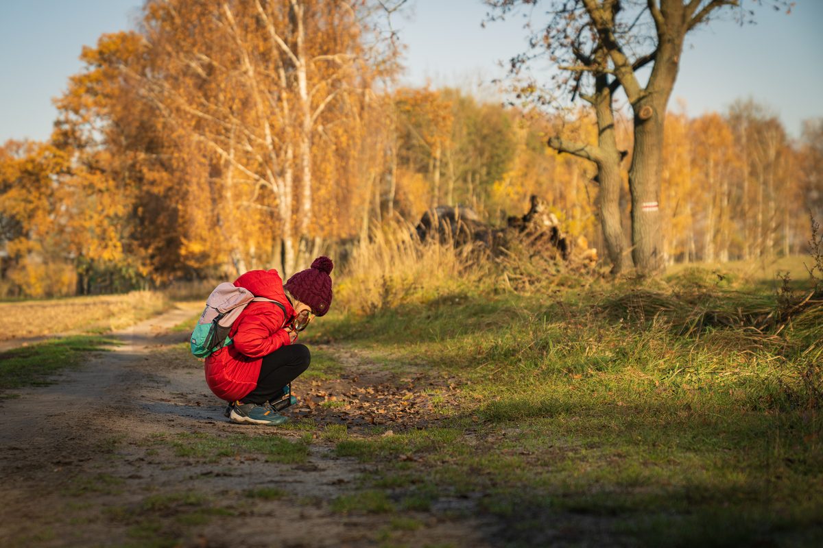 Uczestniczka wycieczki uważnie obserwuje przyrodę wśród jesiennych liści przy leśnej ścieżce